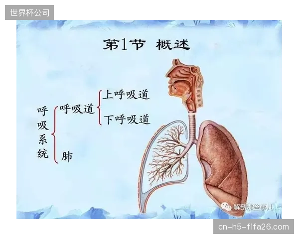 教练组应指导球员掌握比赛间歇的呼吸恢复技巧，以应对湿热环境下的心肺系统高负荷。